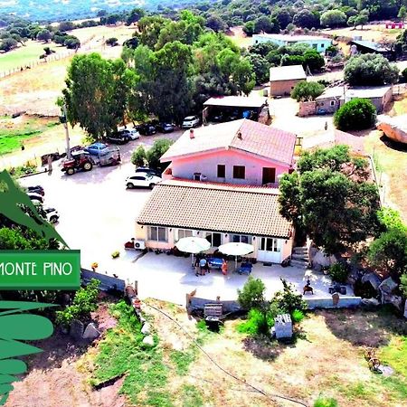 Agriturismo Monte Pino Telti Kültér fotó