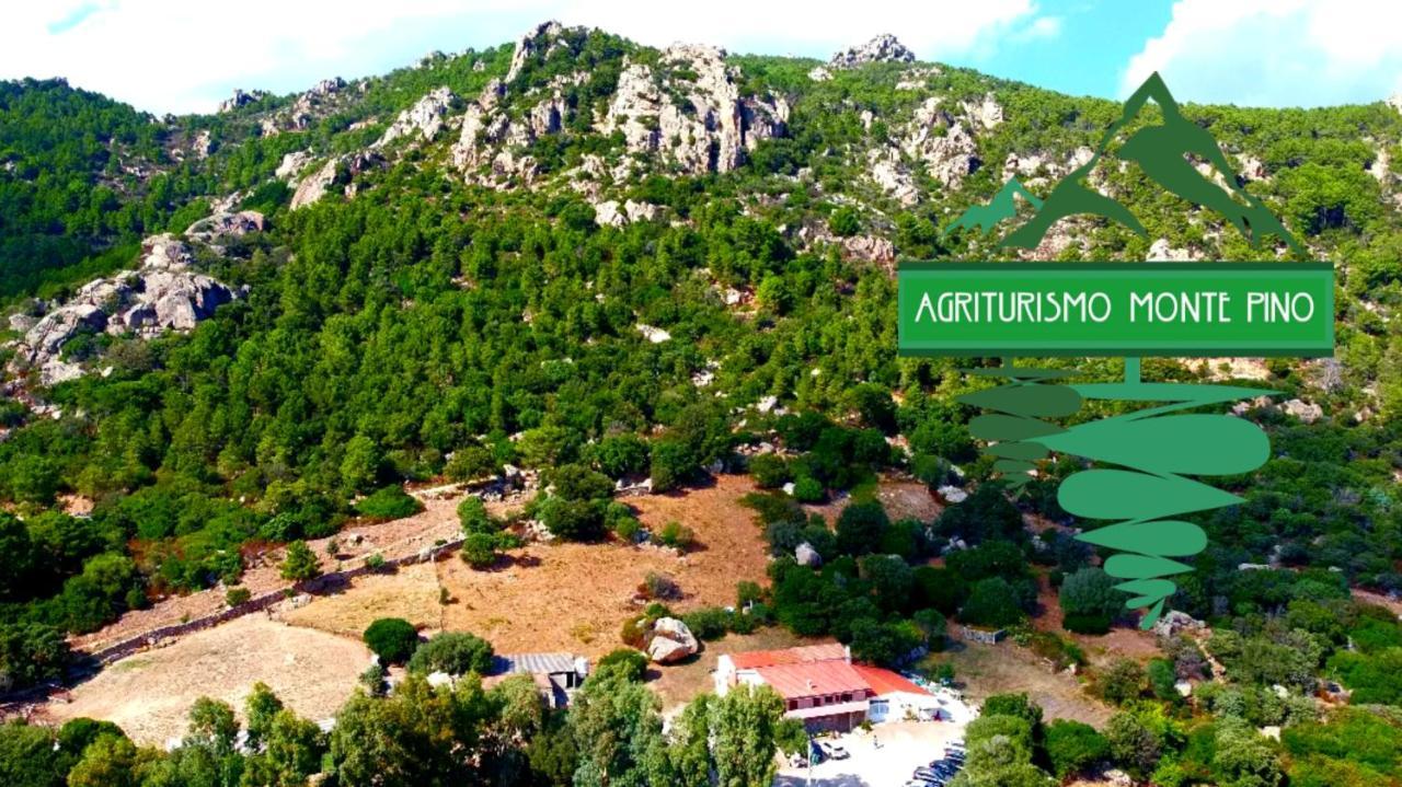 Agriturismo Monte Pino Telti Kültér fotó