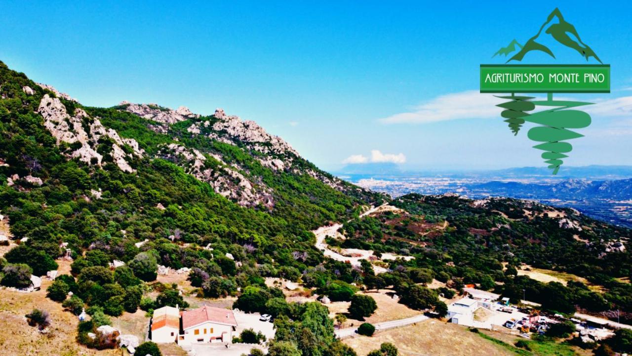 Agriturismo Monte Pino Telti Kültér fotó