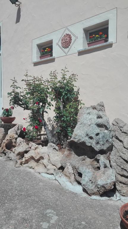 Agriturismo Monte Pino Telti Kültér fotó