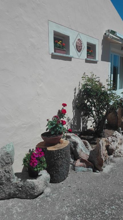 Agriturismo Monte Pino Telti Kültér fotó