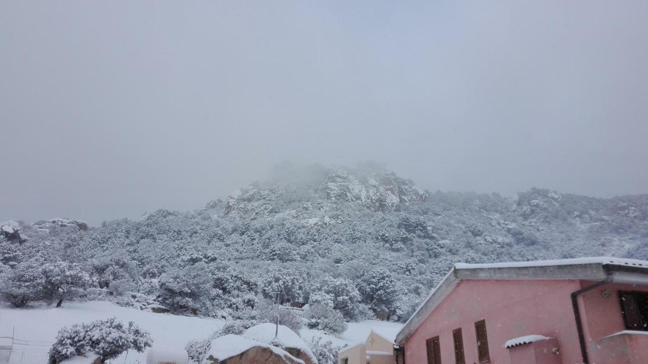 Agriturismo Monte Pino Telti Kültér fotó