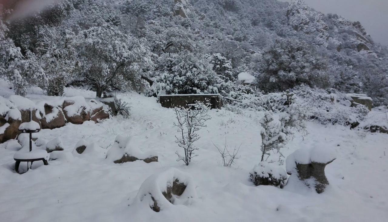 Agriturismo Monte Pino Telti Kültér fotó