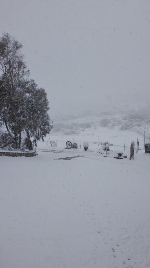 Agriturismo Monte Pino Telti Kültér fotó