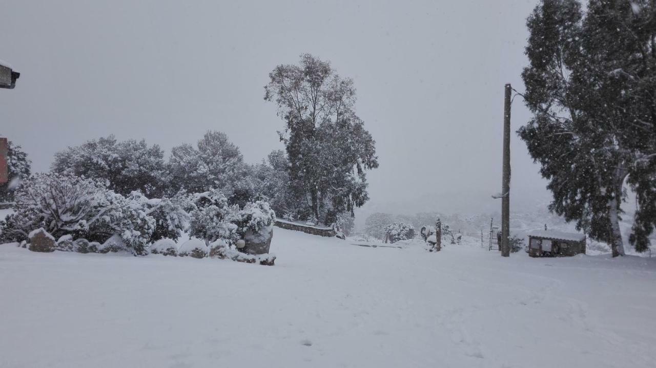 Agriturismo Monte Pino Telti Kültér fotó