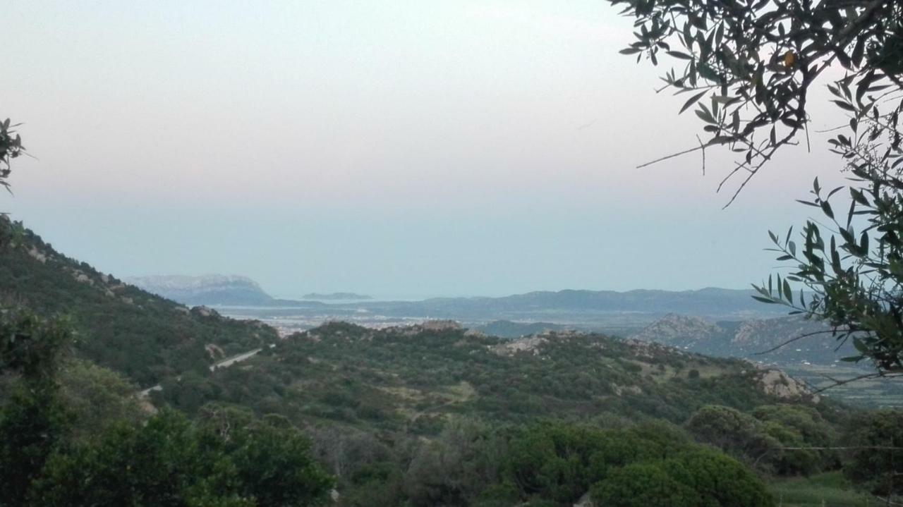 Agriturismo Monte Pino Telti Kültér fotó